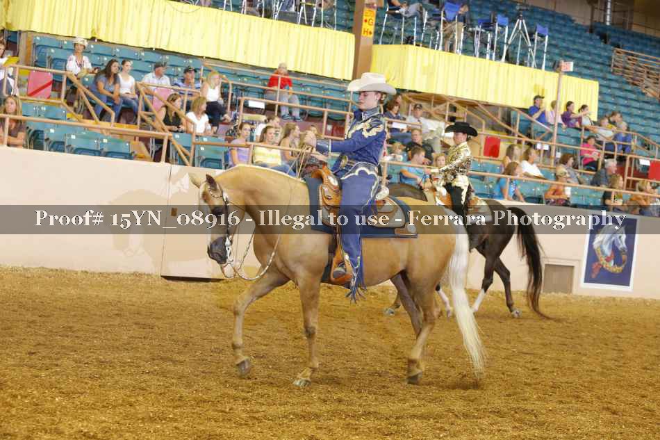 Proof 15YN_08916