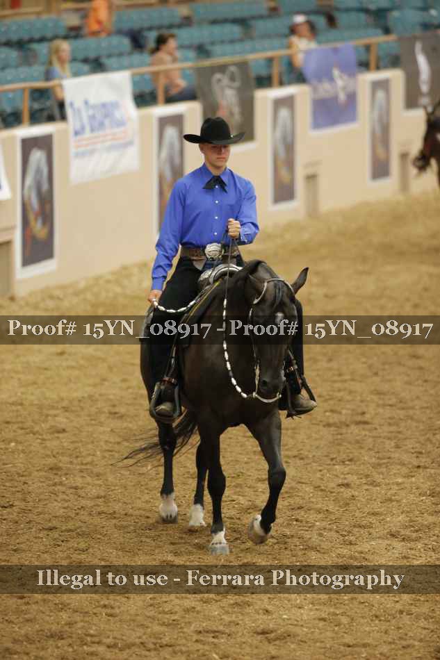 Proof 15YN_08917