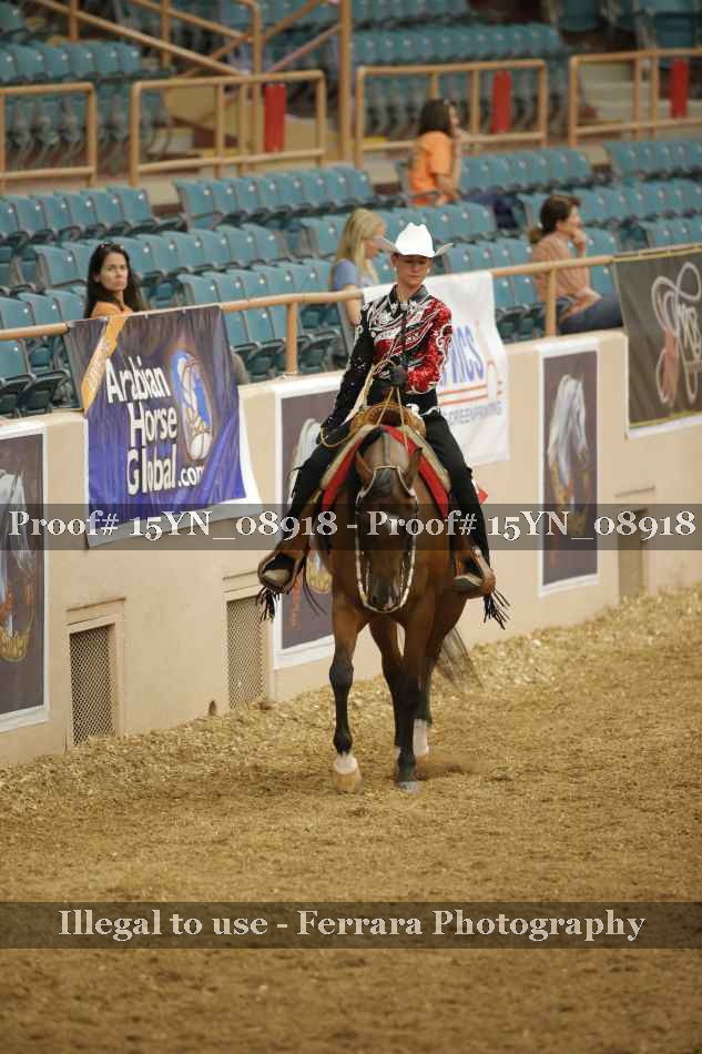 Proof 15YN_08918