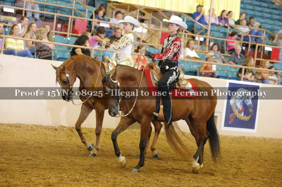 Proof 15YN_08925