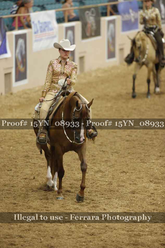 Proof 15YN_08933
