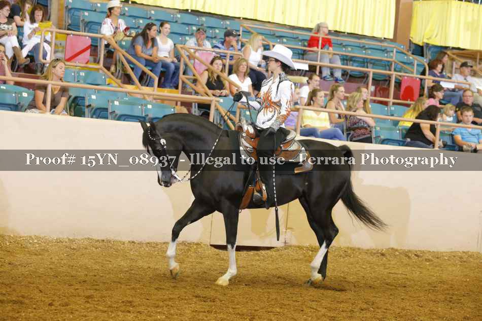 Proof 15YN_08937
