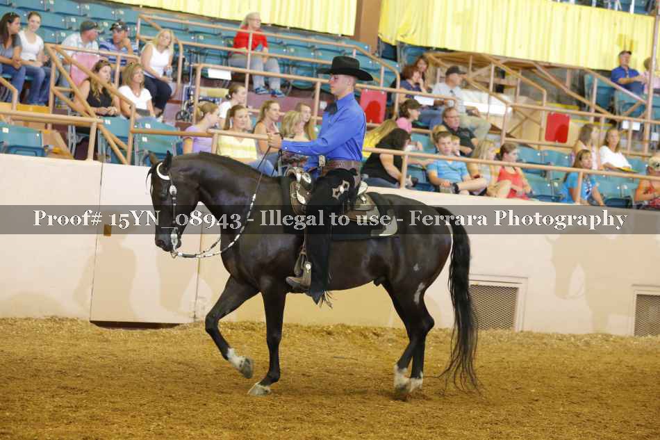 Proof 15YN_08943