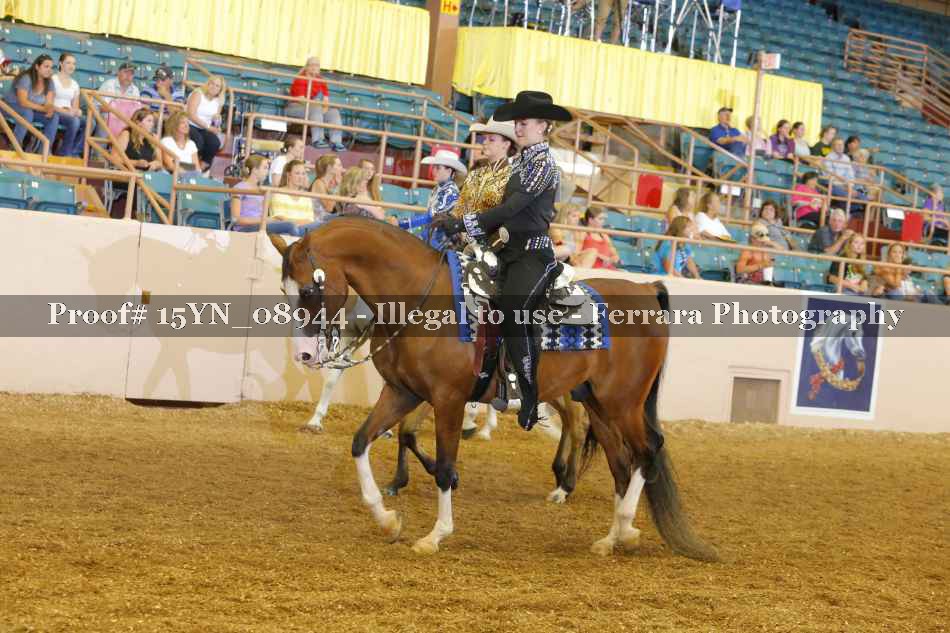 Proof 15YN_08944