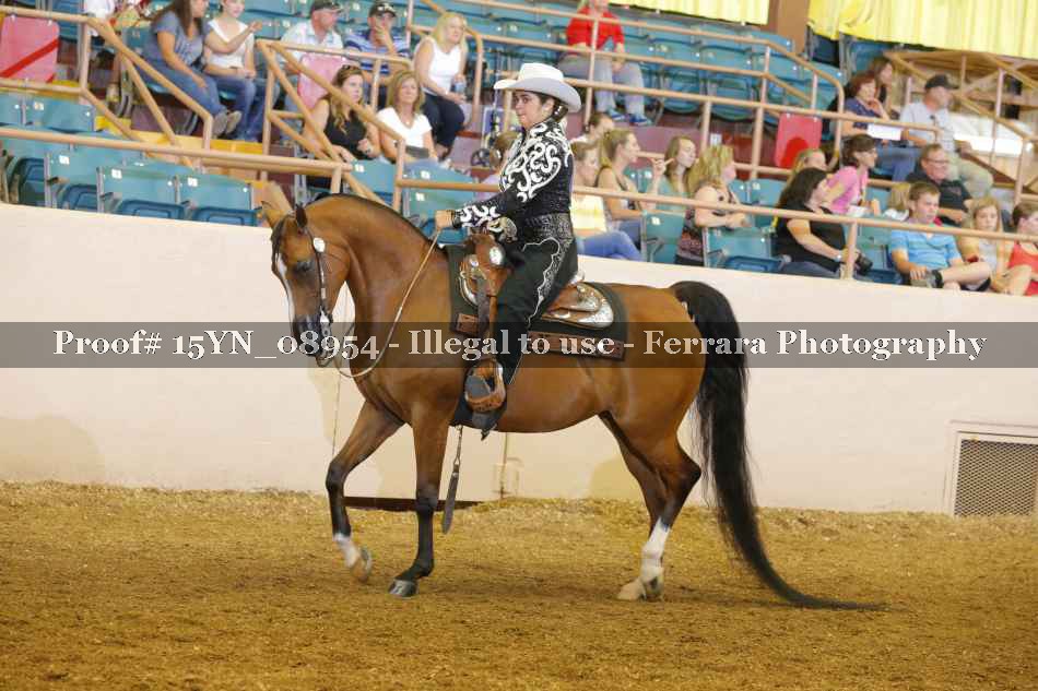 Proof 15YN_08954