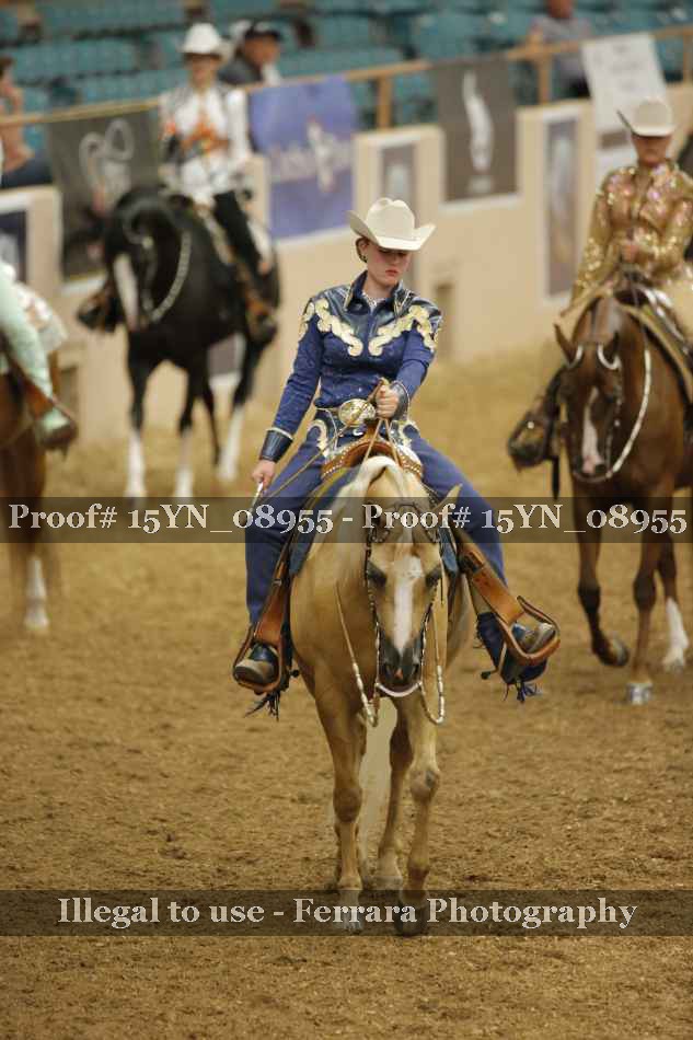 Proof 15YN_08955