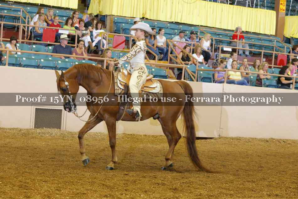 Proof 15YN_08956