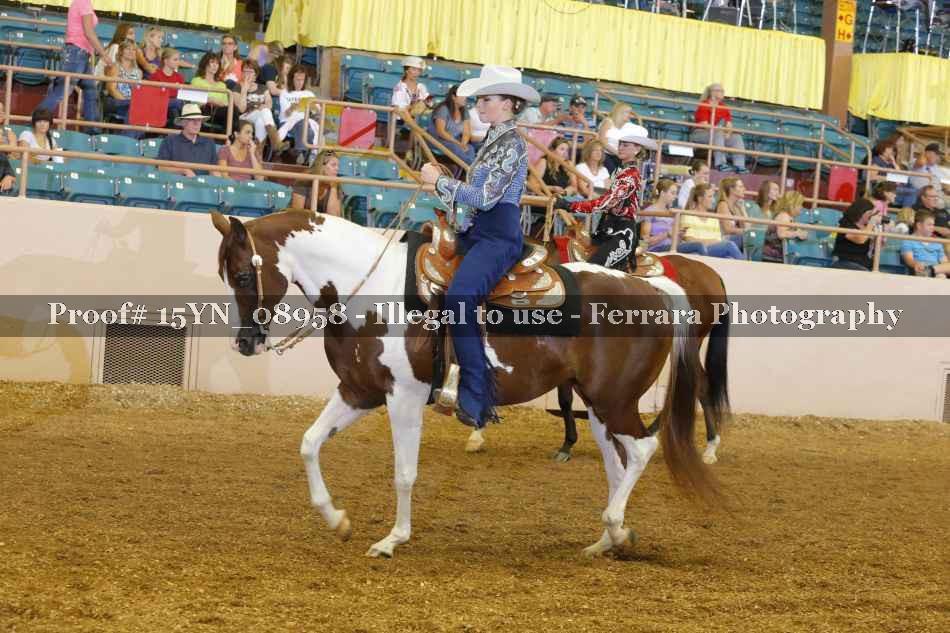 Proof 15YN_08958