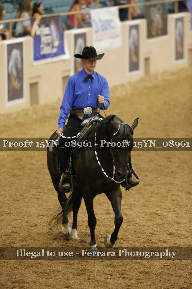 Proof 15YN_08961