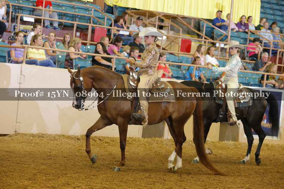 Proof 15YN_08964