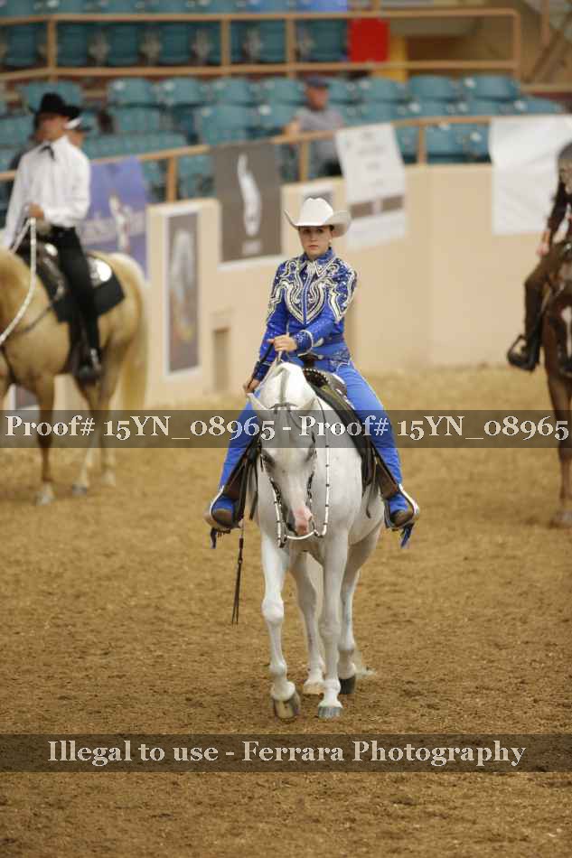 Proof 15YN_08965