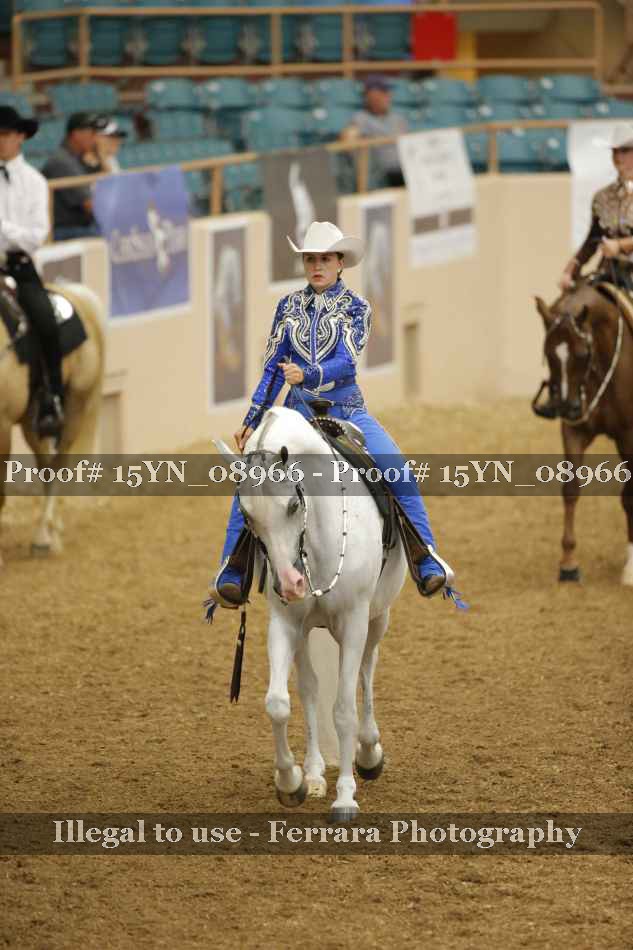Proof 15YN_08966