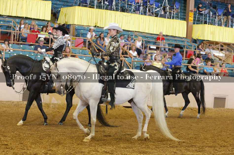 Proof 15YN_08970