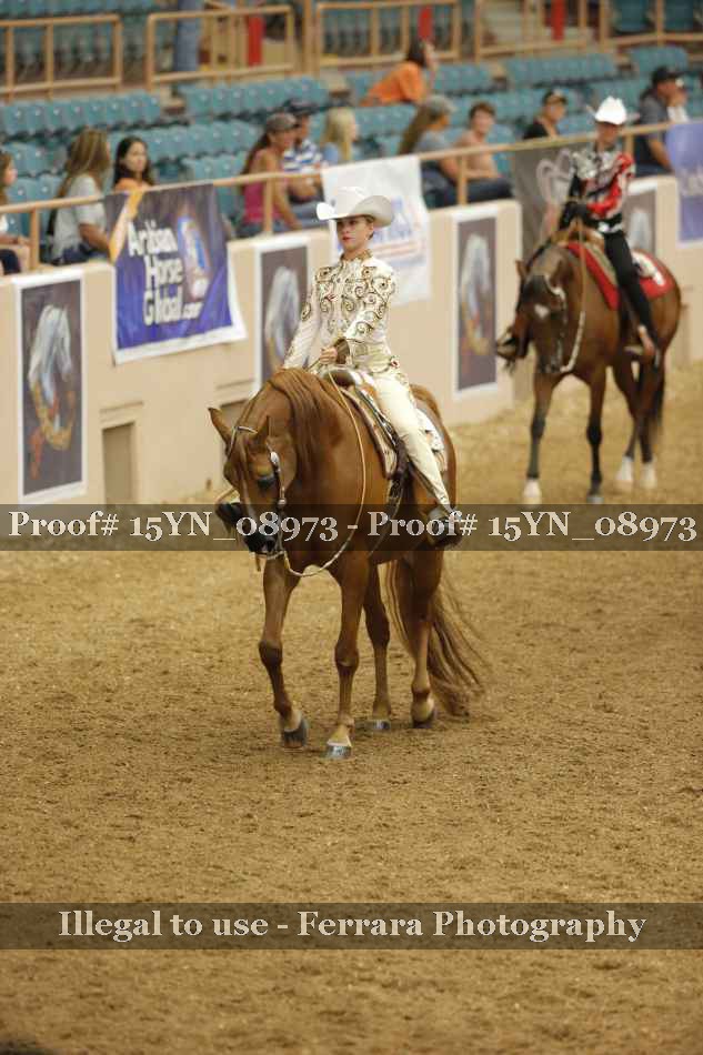 Proof 15YN_08973