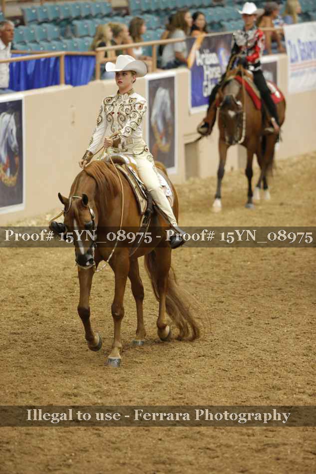 Proof 15YN_08975