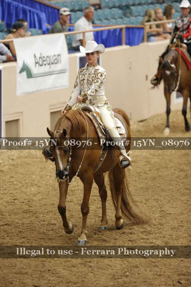 Proof 15YN_08976