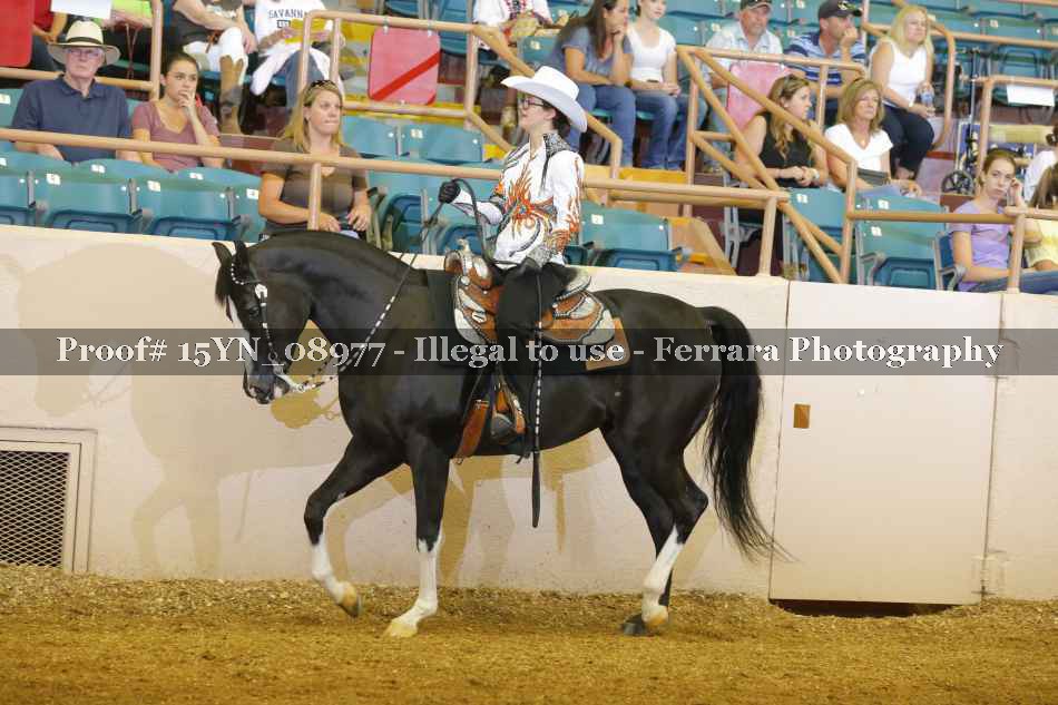 Proof 15YN_08977