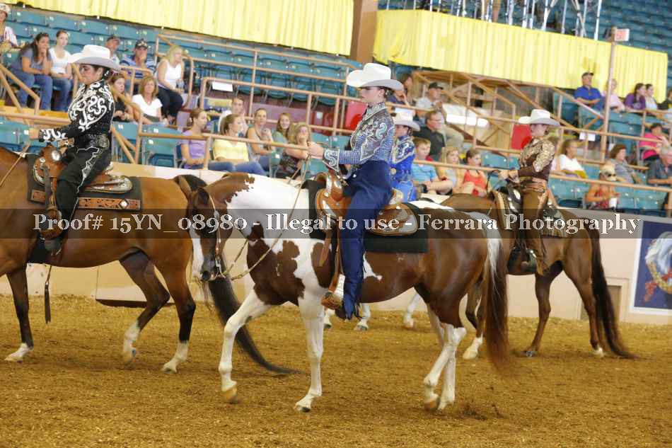 Proof 15YN_08980