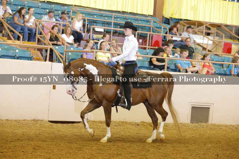 Proof 15YN_08985