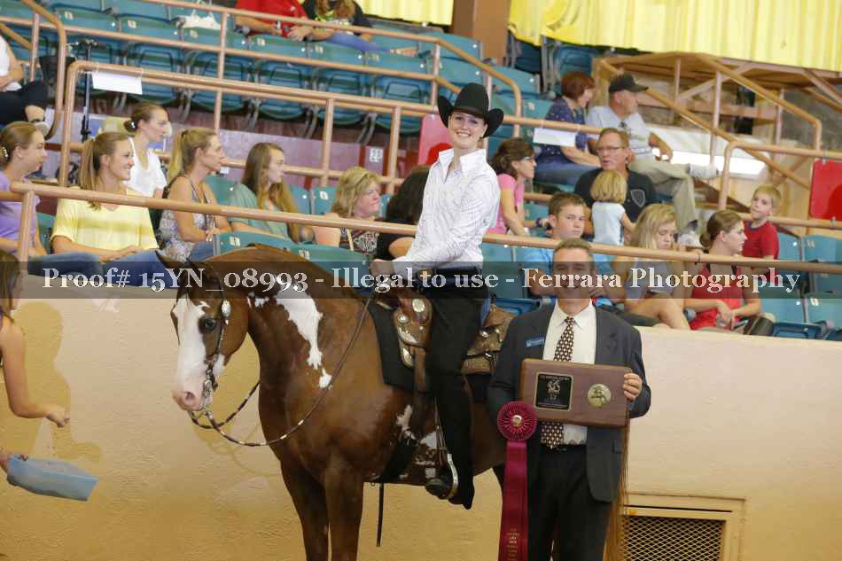 Proof 15YN_08993