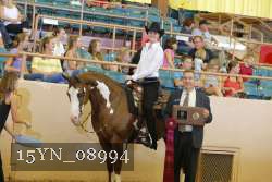 15YN_08994 proof