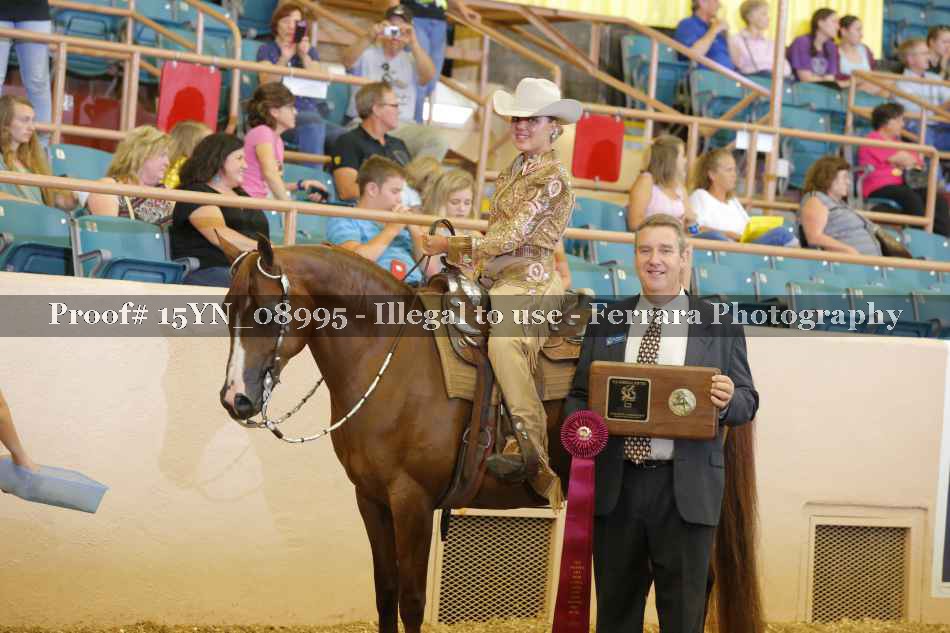 Proof 15YN_08995