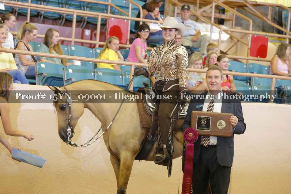 Proof 15YN_09001