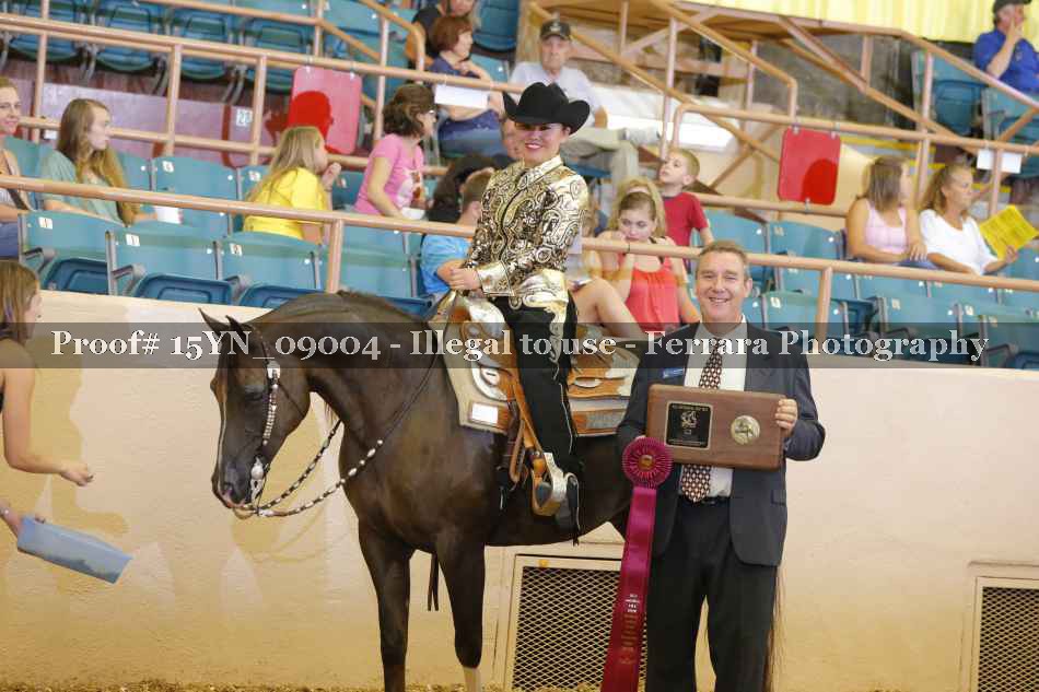 Proof 15YN_09004