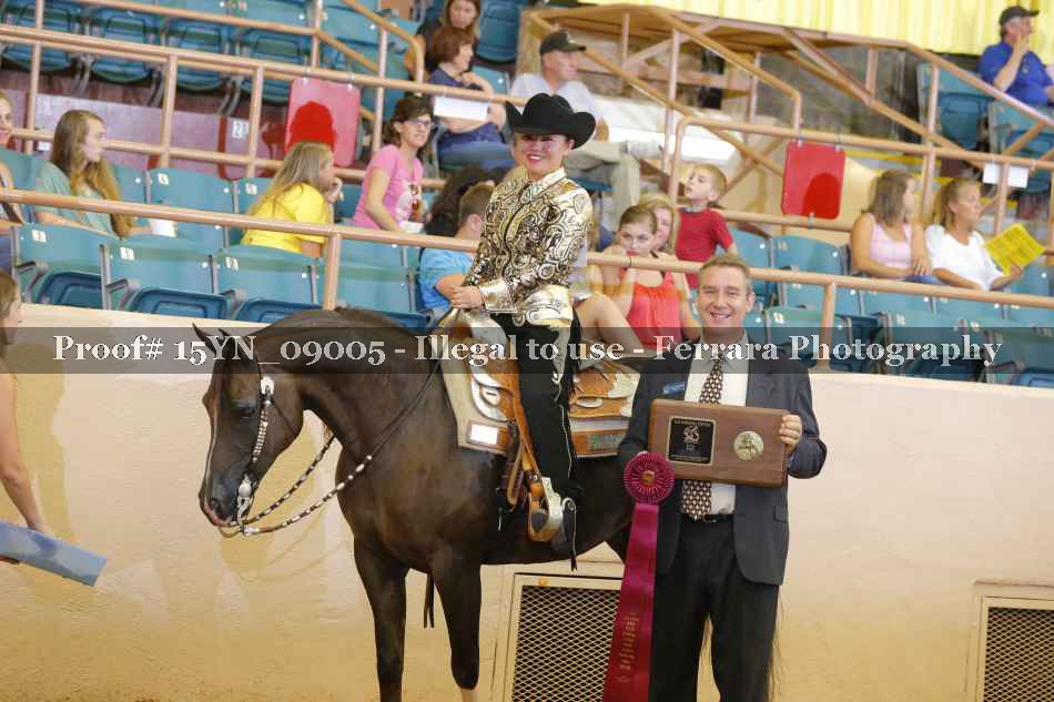 Proof 15YN_09005