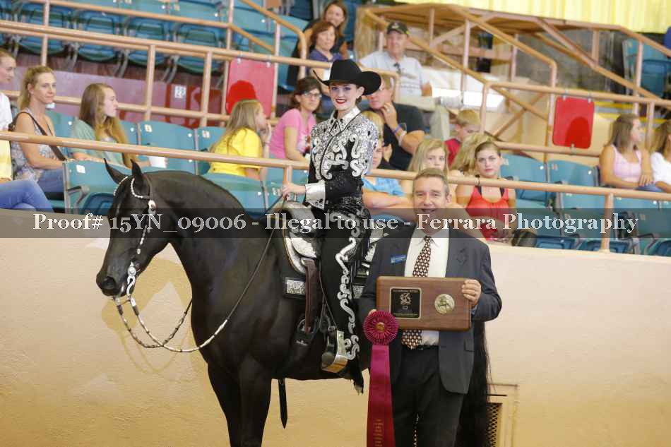 Proof 15YN_09006