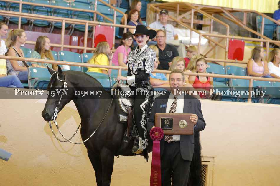 Proof 15YN_09007
