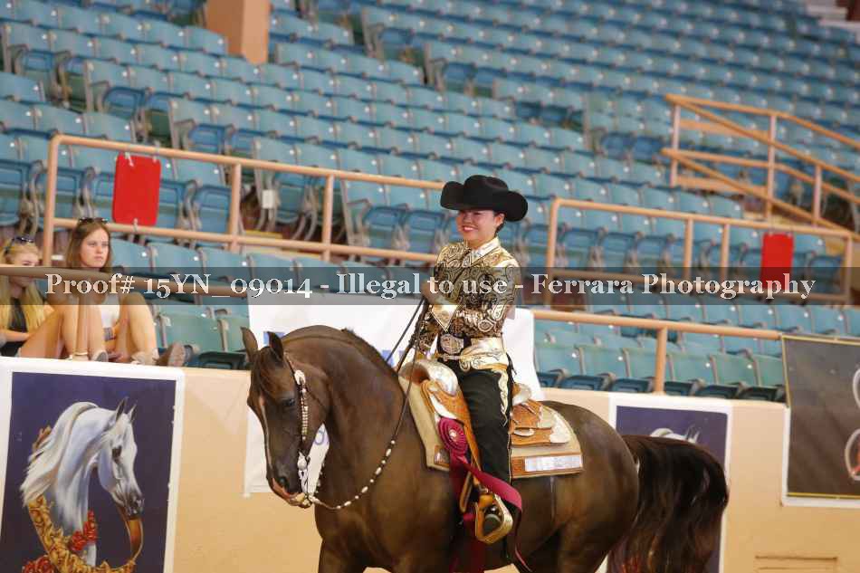 Proof 15YN_09014