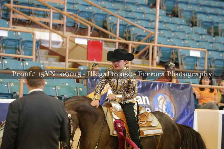 Proof 15YN_09015