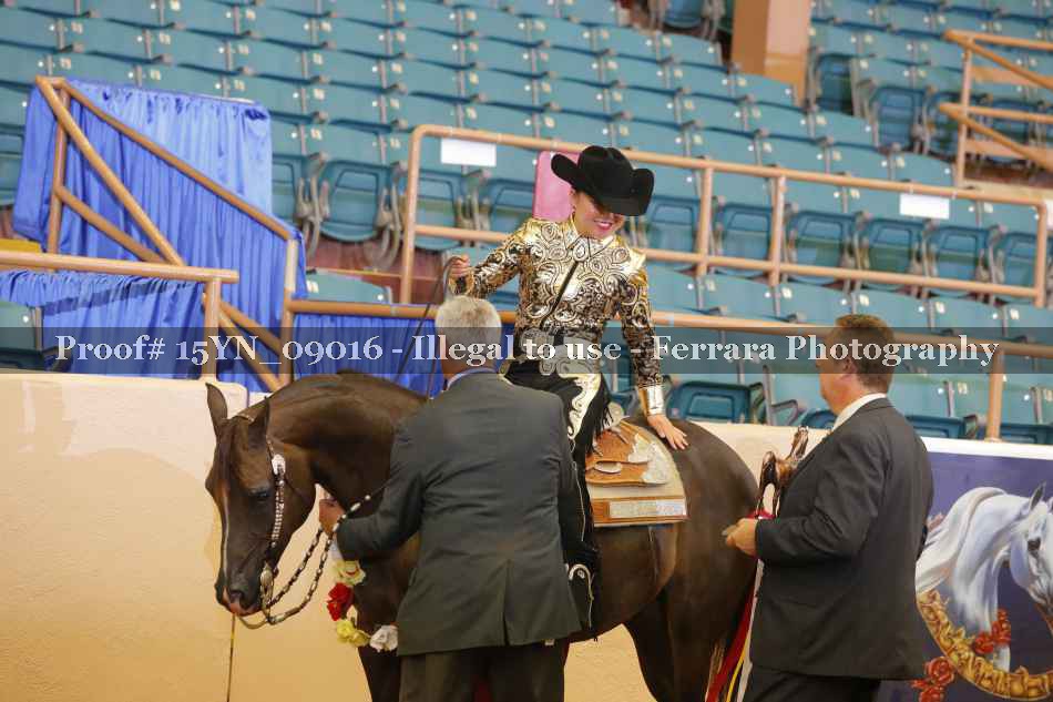 Proof 15YN_09016