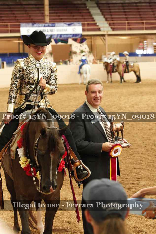Proof 15YN_09018