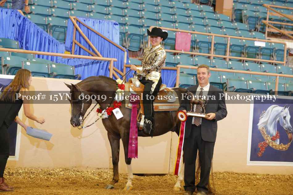Proof 15YN_09019