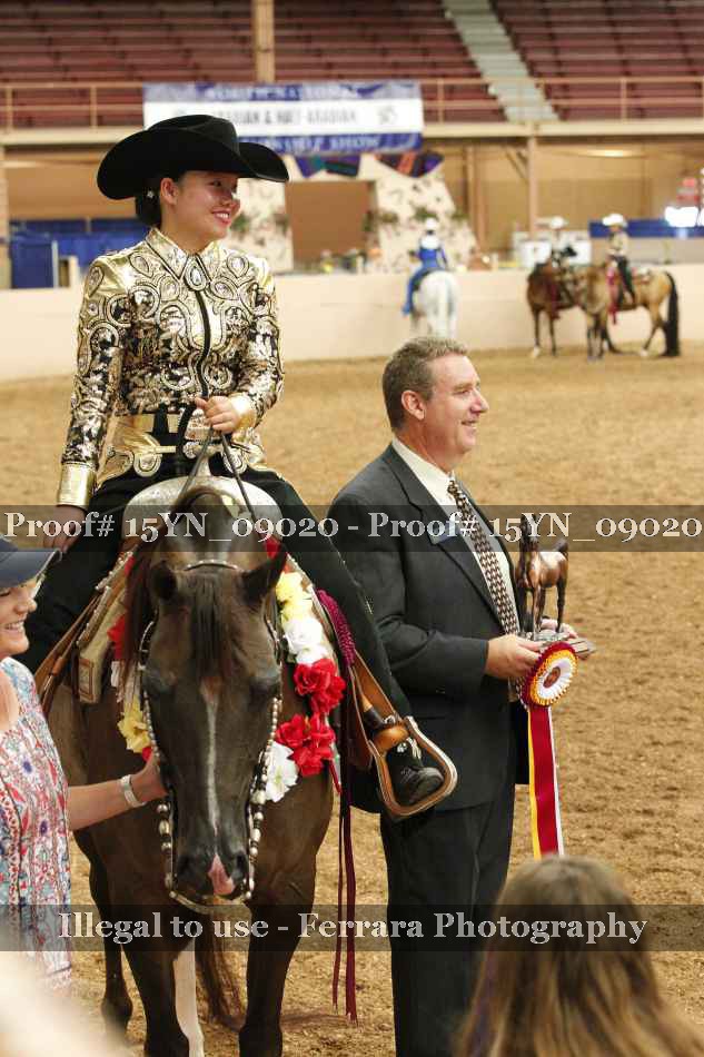 Proof 15YN_09020