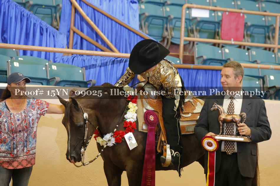Proof 15YN_09025
