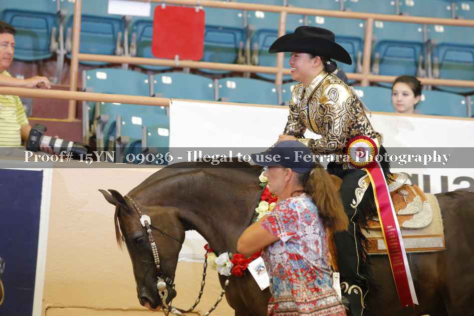 Proof 15YN_09036
