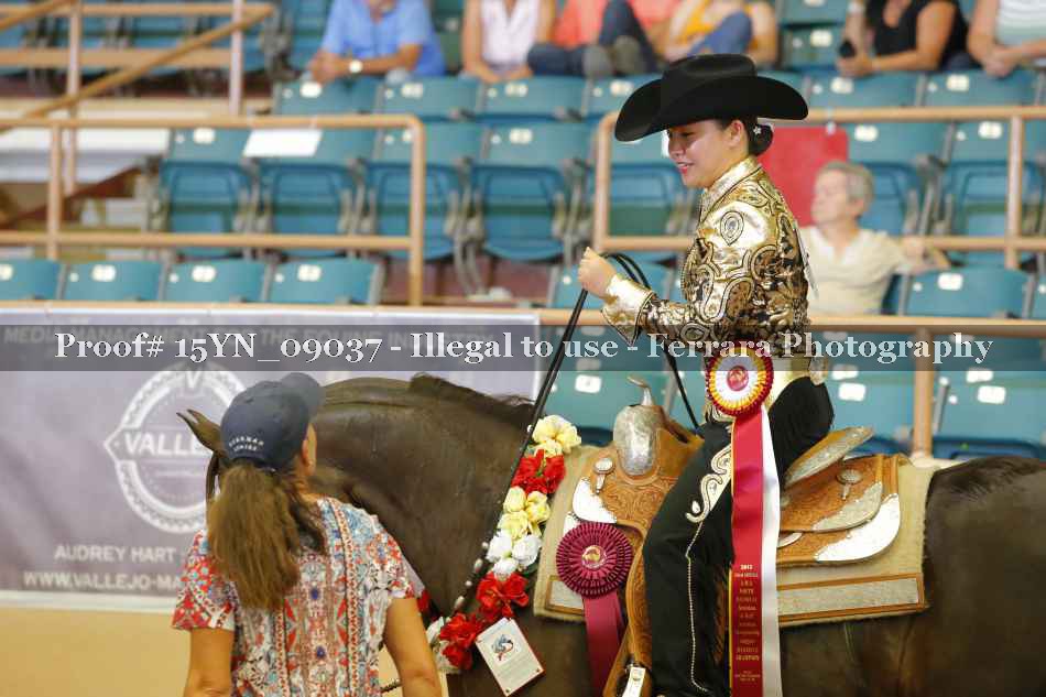 Proof 15YN_09037