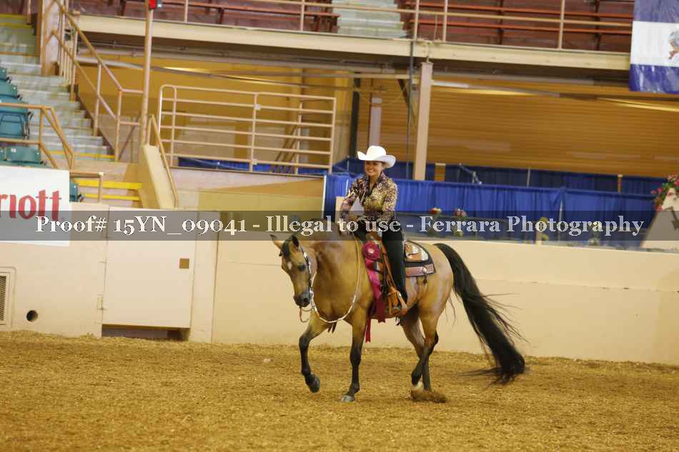 Proof 15YN_09041