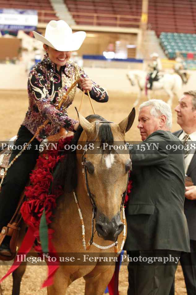 Proof 15YN_09048