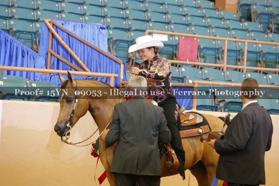 Proof 15YN_09053