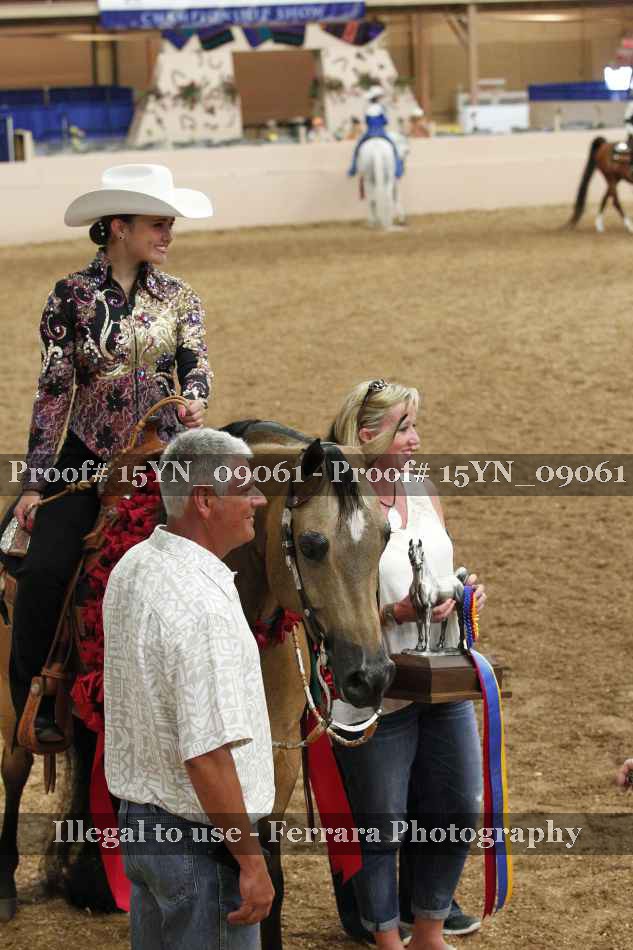 Proof 15YN_09061