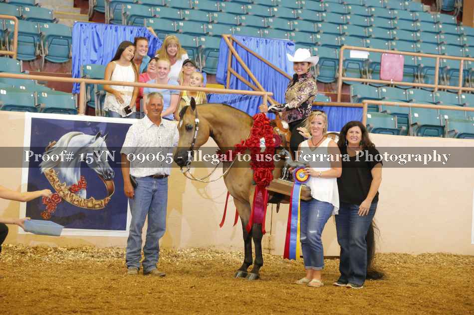 Proof 15YN_09065