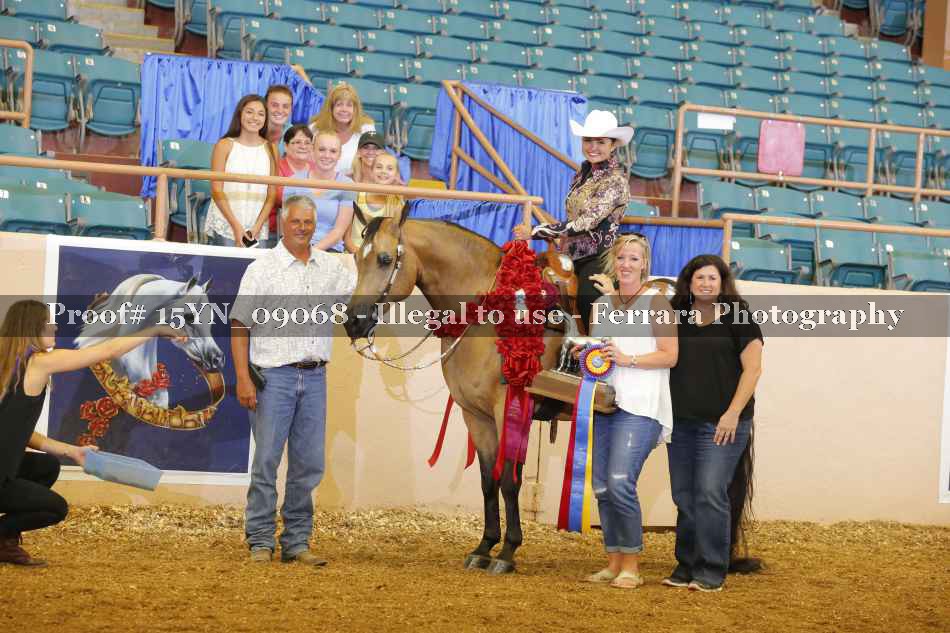 Proof 15YN_09068