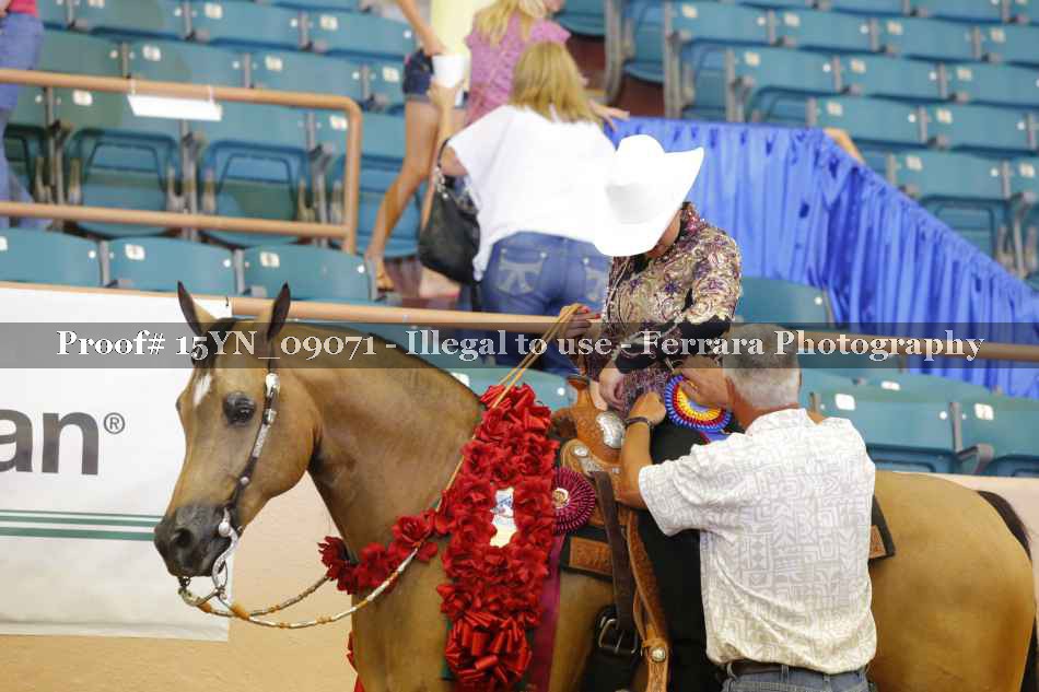 Proof 15YN_09071