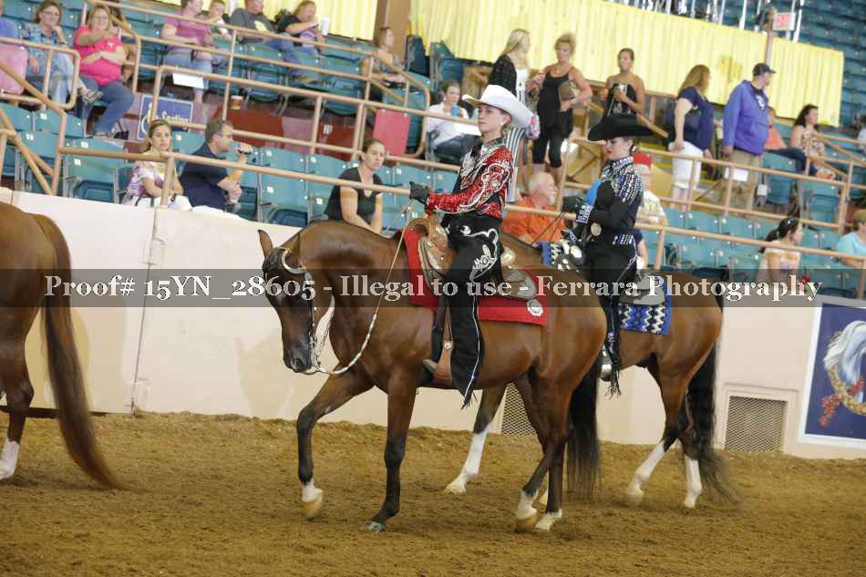 Proof 15YN_28605