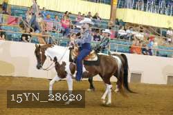 15YN_28620 proof