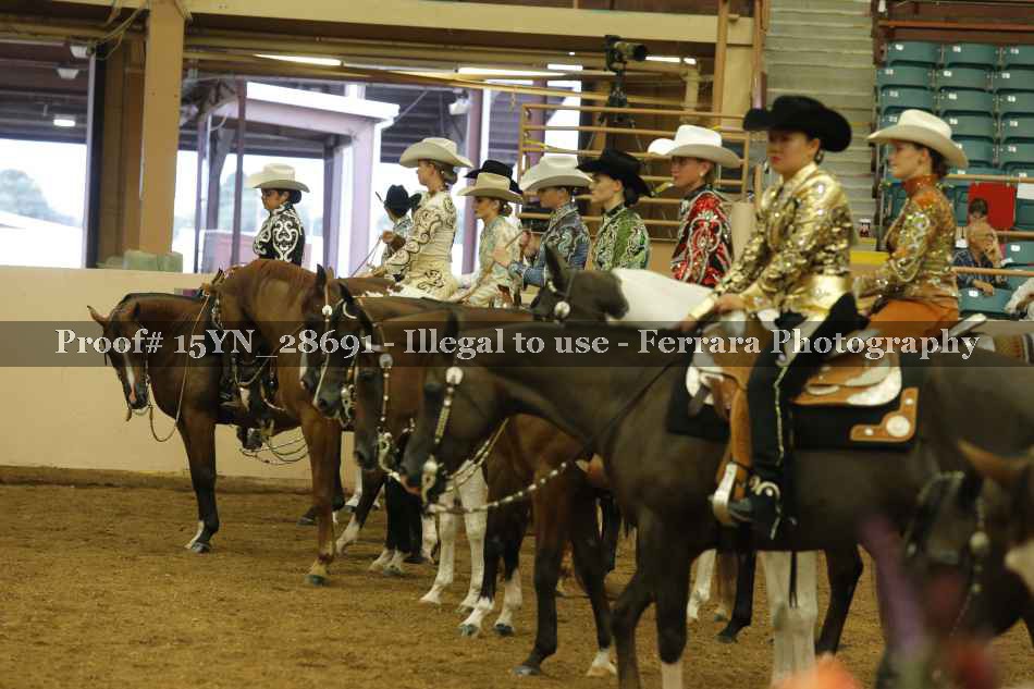 Proof 15YN_28691